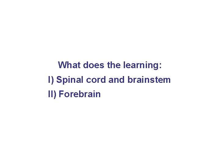 What does the learning: I) Spinal cord and brainstem II) Forebrain 