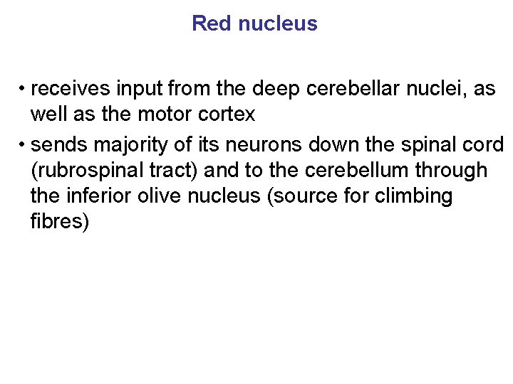 Red nucleus • receives input from the deep cerebellar nuclei, as well as the