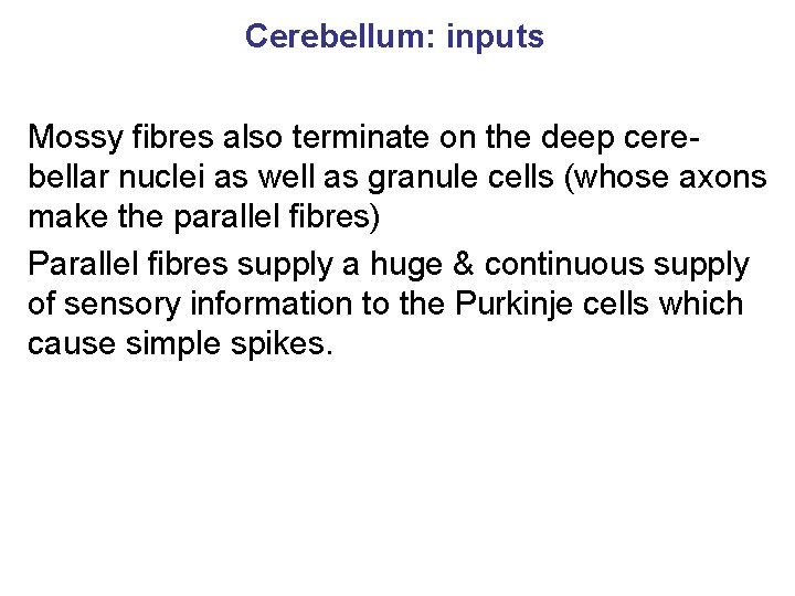 Cerebellum: inputs Mossy fibres also terminate on the deep cerebellar nuclei as well as