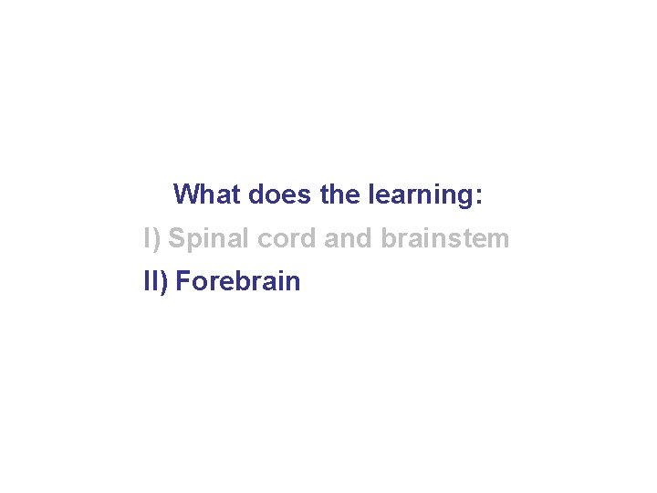 What does the learning: I) Spinal cord and brainstem II) Forebrain 