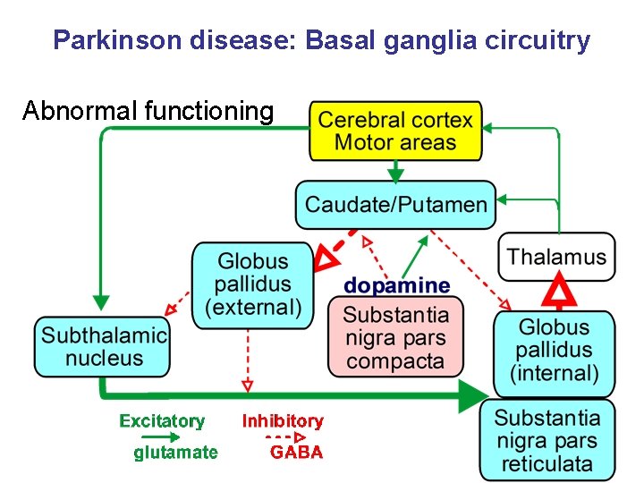 Parkinson disease: Basal ganglia circuitry Abnormal functioning 