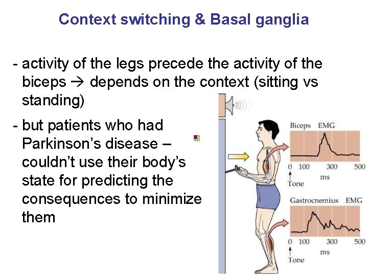 Context switching & Basal ganglia - activity of the legs precede the activity of