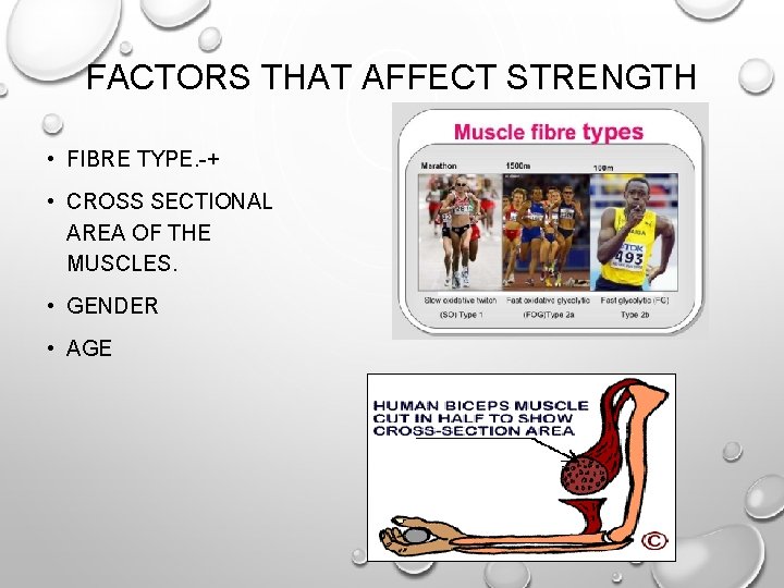 FACTORS THAT AFFECT STRENGTH • FIBRE TYPE. -+ • CROSS SECTIONAL AREA OF THE