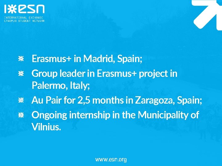 Erasmus+ in Madrid, Spain; Group leader in Erasmus+ project in Palermo, Italy; Au Pair