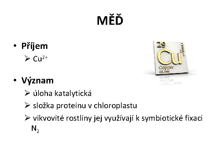MĚĎ • Příjem Ø Cu 2+ • Význam Ø úloha katalytická Ø složka proteinu