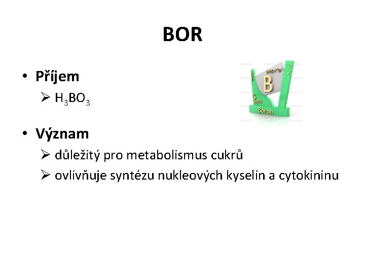BOR • Příjem Ø H 3 BO 3 • Význam Ø důležitý pro metabolismus
