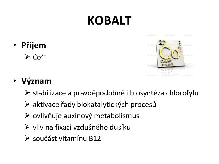 KOBALT • Příjem Ø Co 2+ • Význam Ø stabilizace a pravděpodobně i biosyntéza