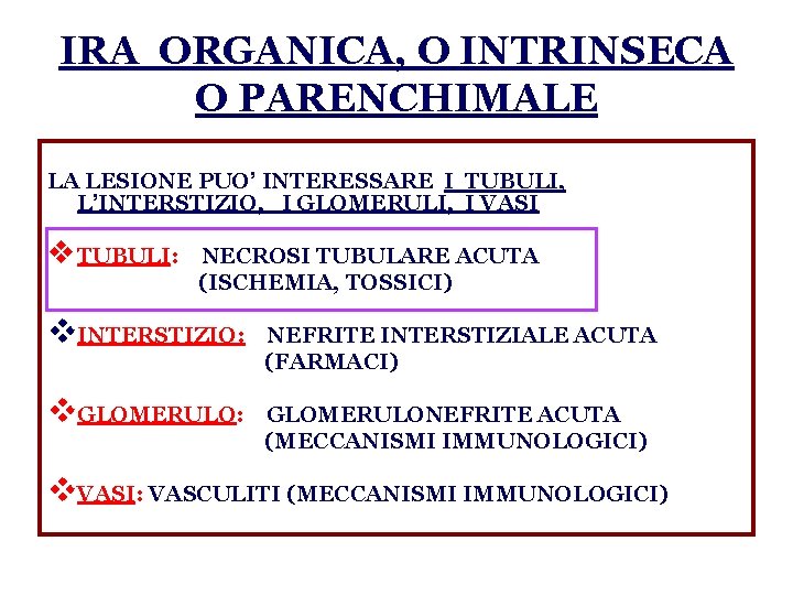 IRA ORGANICA, O INTRINSECA O PARENCHIMALE LA LESIONE PUO’ INTERESSARE I TUBULI, L’INTERSTIZIO, I