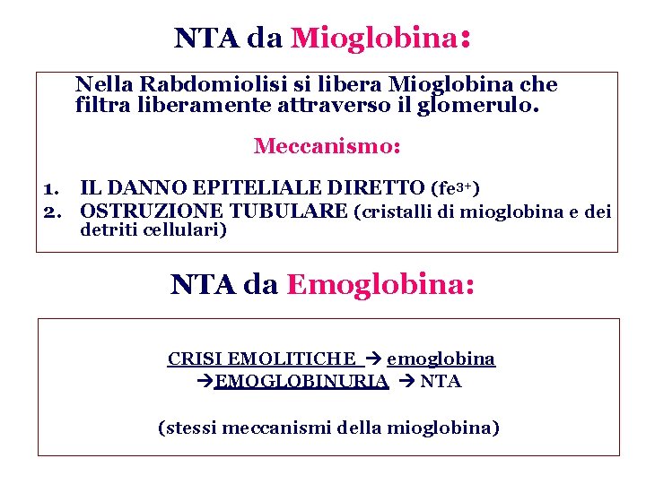 NTA da Mioglobina: Nella Rabdomiolisi si libera Mioglobina che filtra liberamente attraverso il glomerulo.
