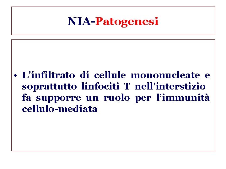 NIA-Patogenesi • L’infiltrato di cellule mononucleate e soprattutto linfociti T nell’interstizio fa supporre un