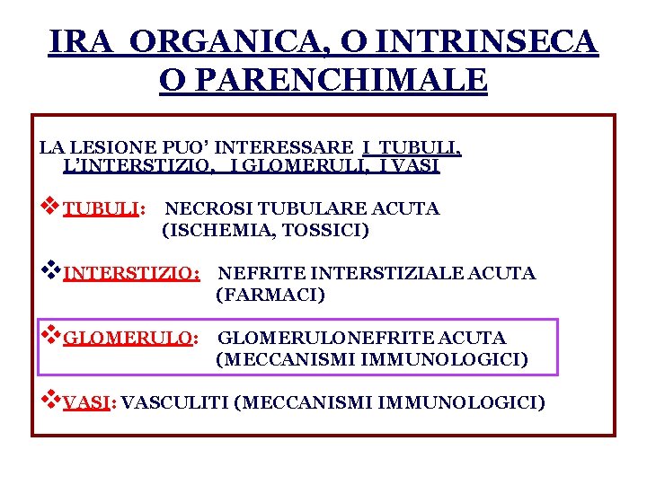 IRA ORGANICA, O INTRINSECA O PARENCHIMALE LA LESIONE PUO’ INTERESSARE I TUBULI, L’INTERSTIZIO, I