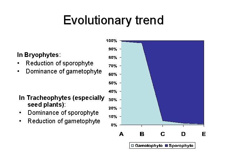 Evolutionary trend In Bryophytes: • Reduction of sporophyte • Dominance of gametophyte In Tracheophytes Evolutionary trend In Bryophytes: • Reduction of sporophyte • Dominance of gametophyte In Tracheophytes
