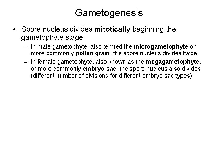 Gametogenesis • Spore nucleus divides mitotically beginning the gametophyte stage – In male gametophyte, Gametogenesis • Spore nucleus divides mitotically beginning the gametophyte stage – In male gametophyte,