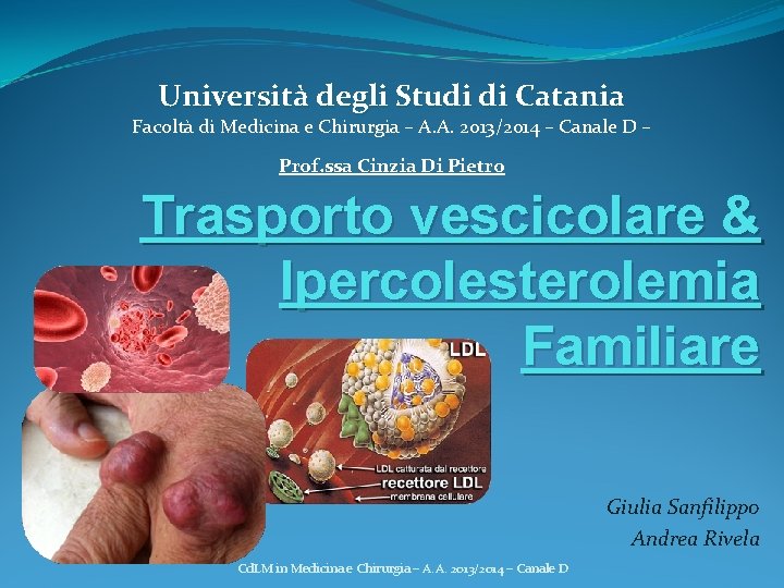 Università degli Studi di Catania Facoltà di Medicina e Chirurgia – A. A. 2013/2014