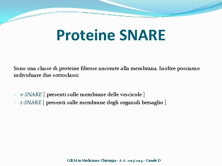 Proteine SNARE Sono una classe di proteine fibrose ancorate alla membrana. Inoltre possiamo individuare