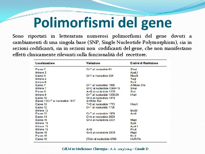 Polimorfismi del gene Sono riportati in letteratura numerosi polimorfismi del gene dovuti a cambiamenti