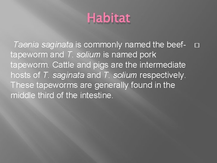 Habitat Taenia saginata is commonly named the beeftapeworm and T. solium is named pork