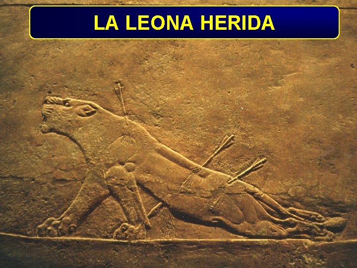 LA LEONA HERIDA 