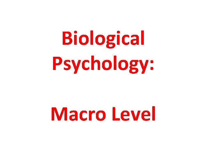 Biological Psychology: Macro Level 