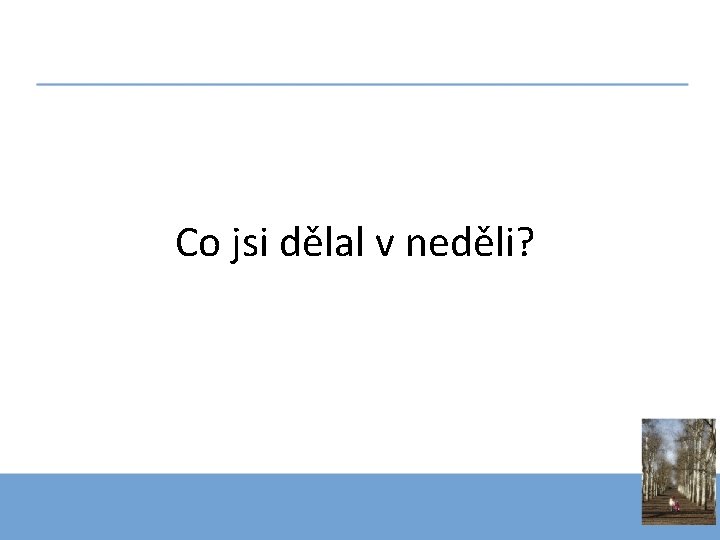 Co jsi dělal v neděli? 