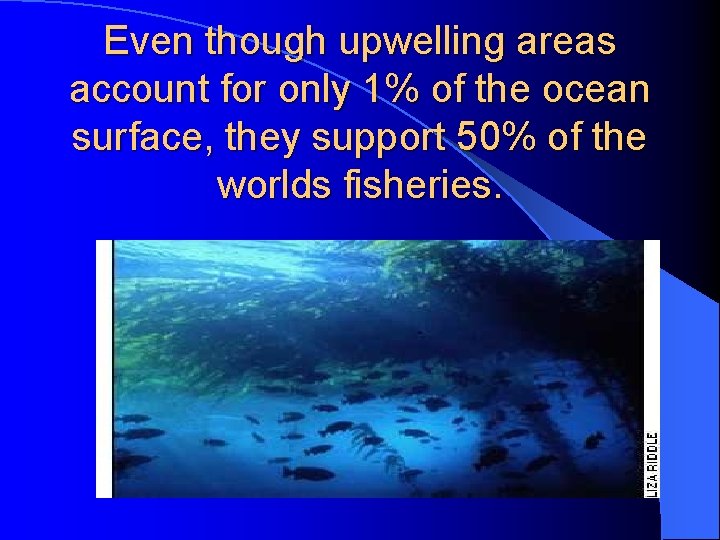 Even though upwelling areas account for only 1% of the ocean surface, they support