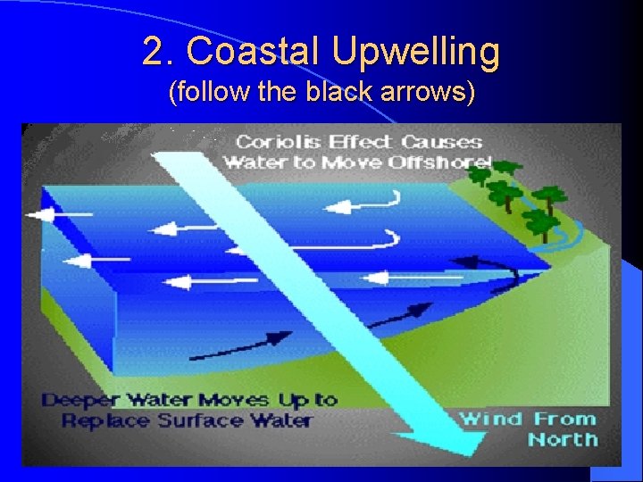 2. Coastal Upwelling (follow the black arrows) 