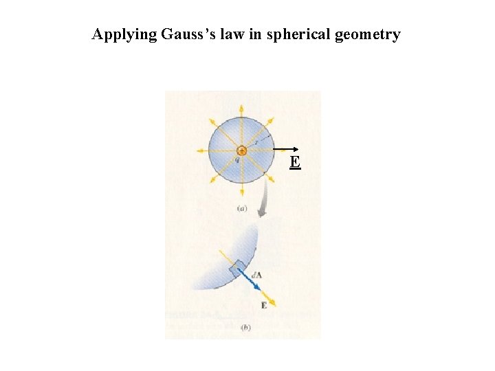 Applying Gauss’s law in spherical geometry E 