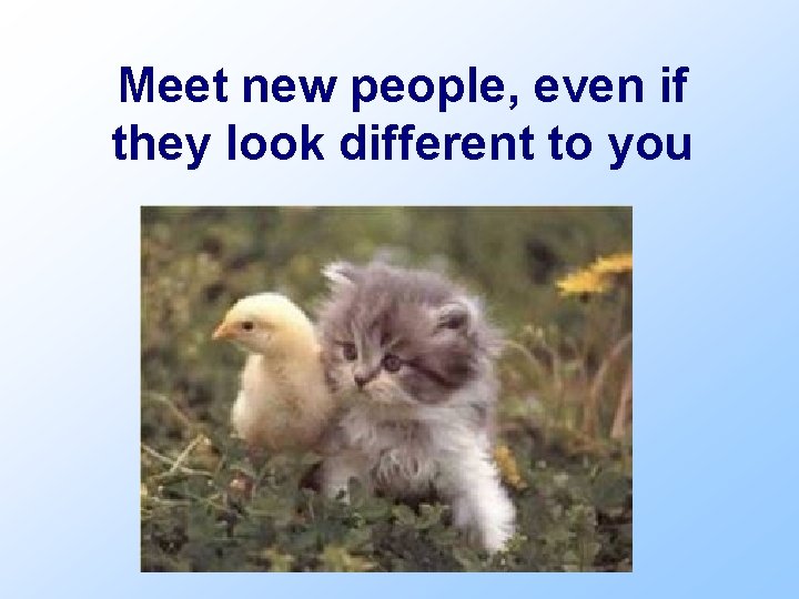 Meet new people, even if they look different to you 