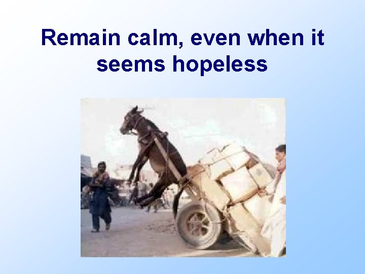 Remain calm, even when it seems hopeless 