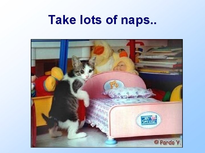 Take lots of naps. . 