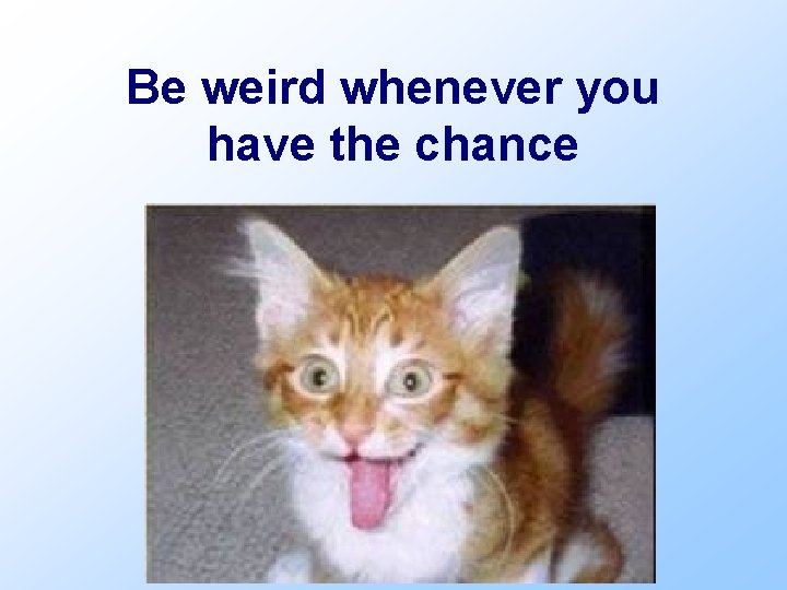 Be weird whenever you have the chance 