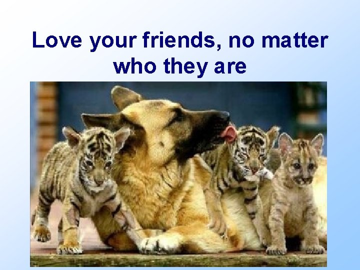 Love your friends, no matter who they are 