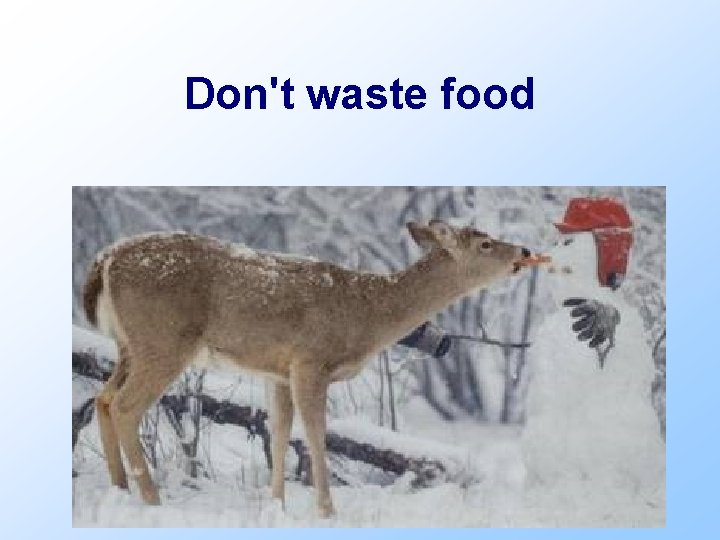 Don't waste food 