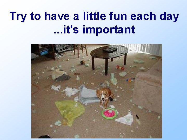 Try to have a little fun each day. . . it's important 
