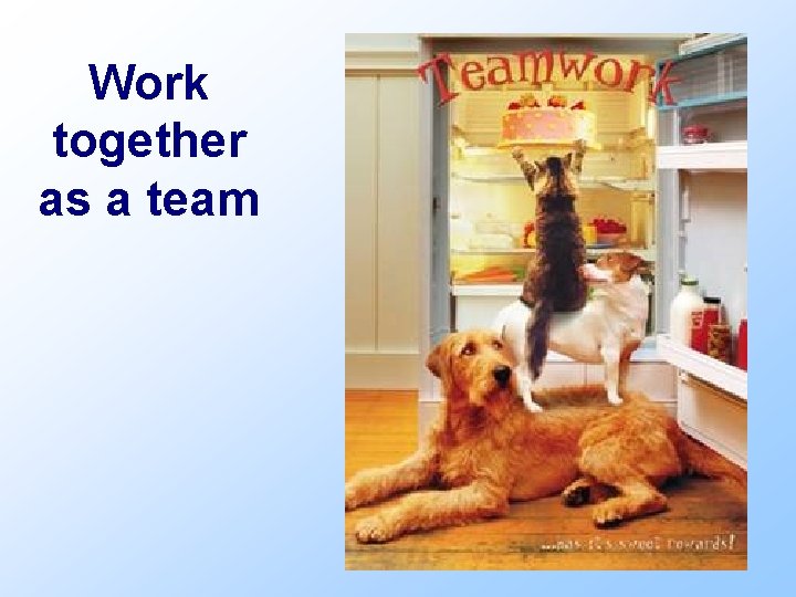 Work together as a team 