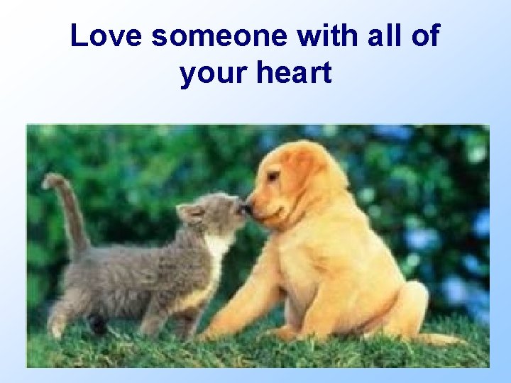 Love someone with all of your heart 