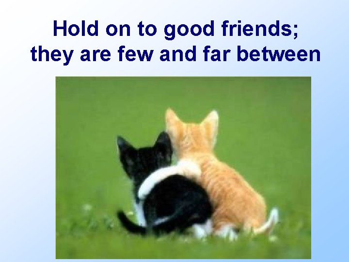 Hold on to good friends; they are few and far between 