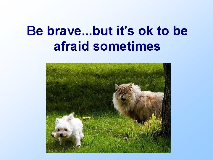 Be brave. . . but it's ok to be afraid sometimes 
