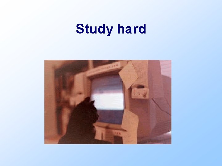 Study hard 