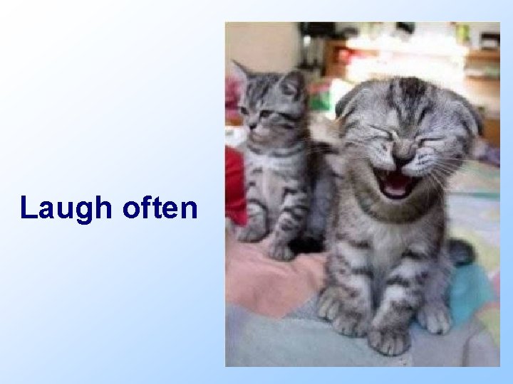 Laugh often 