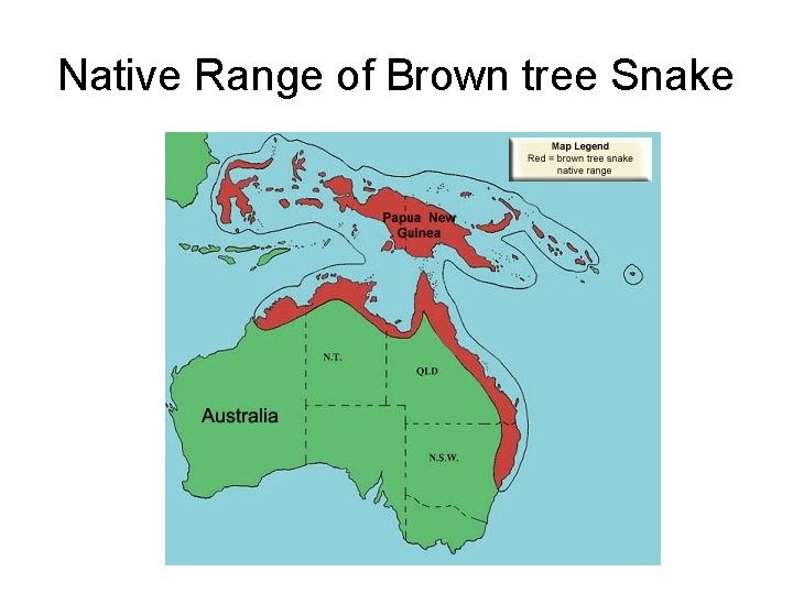 Native Range of Brown tree Snake 