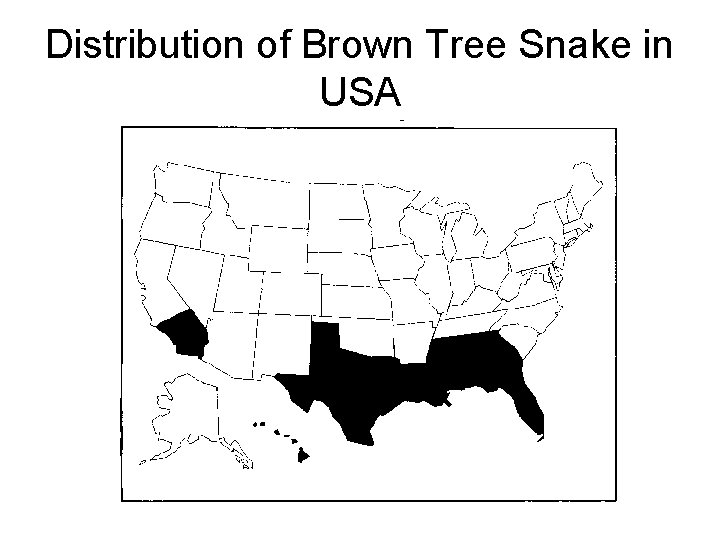 Distribution of Brown Tree Snake in USA 