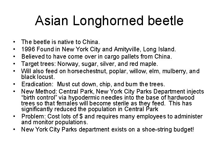 Asian Longhorned beetle • • • The beetle is native to China. 1996 Found
