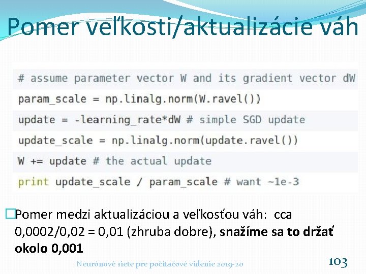 Pomer veľkosti/aktualizácie váh �Pomer medzi aktualizáciou a veľkosťou váh: cca 0, 0002/0, 02 =