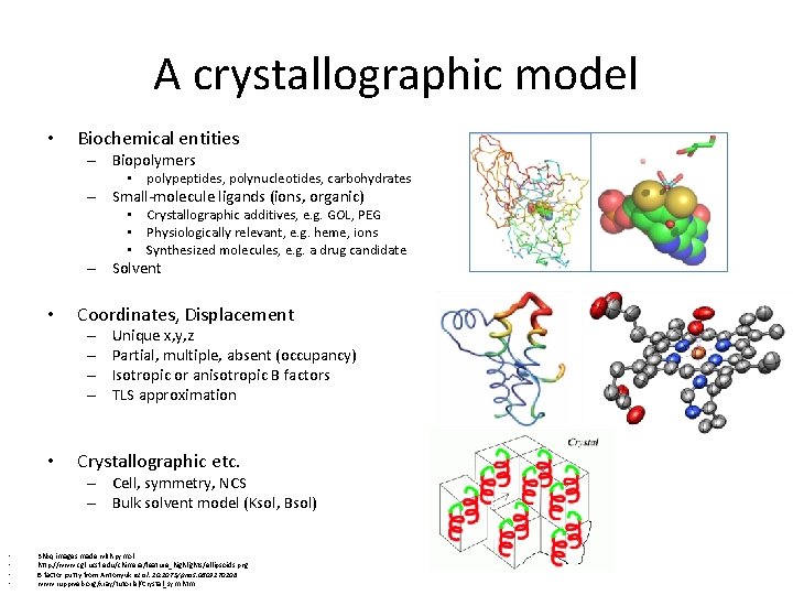 A crystallographic model • Biochemical entities – Biopolymers • polypeptides, polynucleotides, carbohydrates – Small-molecule A crystallographic model • Biochemical entities – Biopolymers • polypeptides, polynucleotides, carbohydrates – Small-molecule