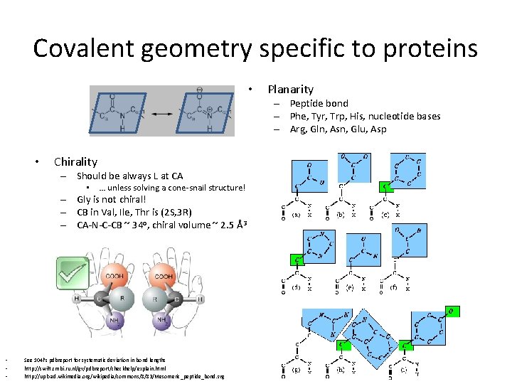 Covalent geometry specific to proteins • Planarity – Peptide bond – Phe, Tyr, Trp, Covalent geometry specific to proteins • Planarity – Peptide bond – Phe, Tyr, Trp,