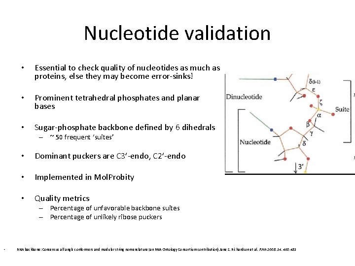 Nucleotide validation • Essential to check quality of nucleotides as much as proteins, else Nucleotide validation • Essential to check quality of nucleotides as much as proteins, else