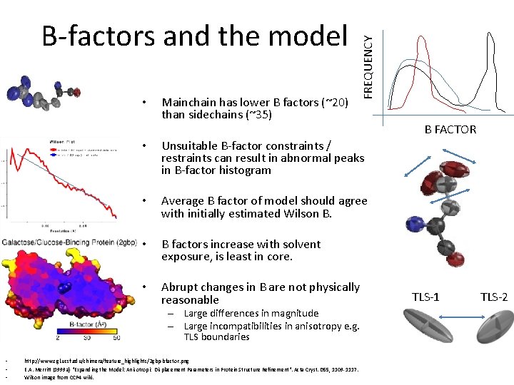 • Mainchain has lower B factors (~20) than sidechains (~35) • Unsuitable B-factor • Mainchain has lower B factors (~20) than sidechains (~35) • Unsuitable B-factor