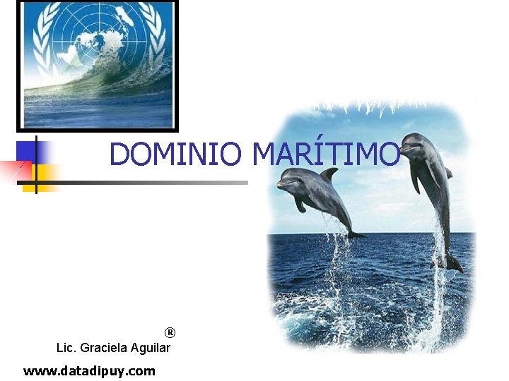  DOMINIO MARÍTIMO ® Lic. Graciela Aguilar www. datadipuy. com 