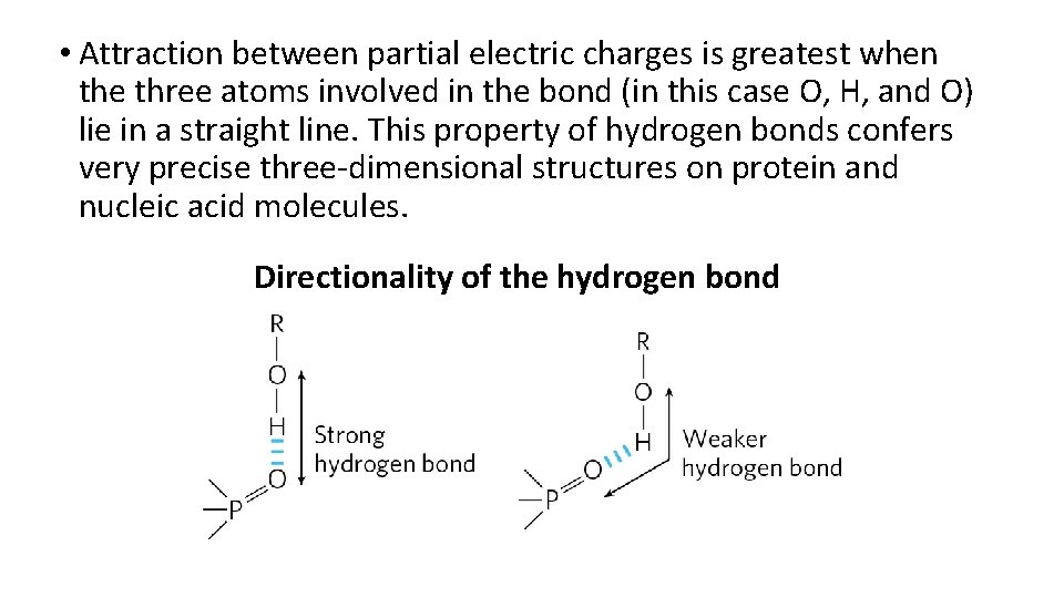  • Attraction between partial electric charges is greatest when the three atoms involved